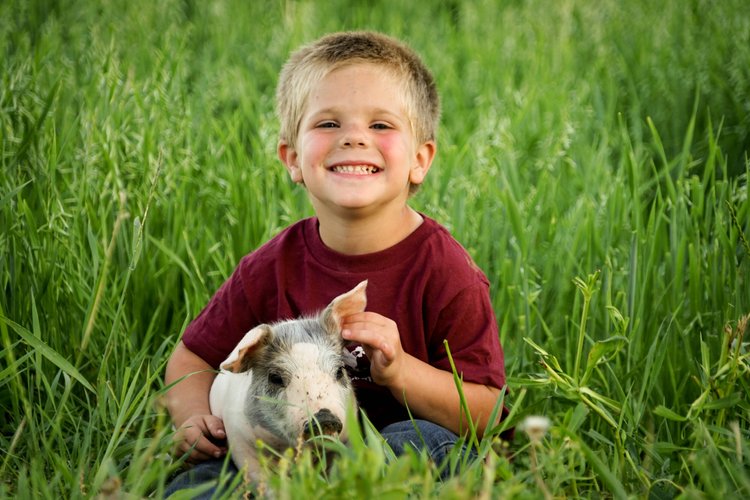 Smiling boy sitting in a grassy field with a small piglet, showcasing a joyful bond between children and animals in a rural setting.